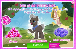 Size: 1036x680 | Tagged: safe, derpibooru import, burnt oak, advertisement, costs real money, gameloft, magic coins, male, official, sale, stallion