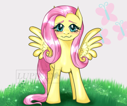 Size: 2151x1800 | Tagged: safe, artist:lupinex-art, derpibooru import, fluttershy, pegasus, pony, :3, cute, female, looking at you, mare, shyabetes, solo, spread wings, wings