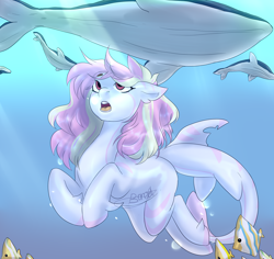 Size: 2522x2378 | Tagged: safe, artist:boresuser, derpibooru import, oc, oc only, fish, merpony, original species, pony, shark, shark pony, whale, blue background, bubble, crepuscular rays, dorsal fin, female, fish tail, looking up, mare, ocean, open mouth, pink mane, red eyes, simple background, solo, sunlight, swimming, tail, teeth, underwater, water