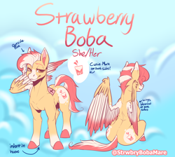 Size: 1446x1296 | Tagged: safe, artist:strwbrybobamare, derpibooru import, oc, oc only, oc:strawberry boba, pegasus, pony, female, hooves, mare, pegasus oc, ponysona, quadrupedal, reference, reference sheet, sfw version, sitting, solo, standing, wings