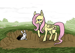 Size: 2000x1404 | Tagged: safe, artist:necromarecy, derpibooru import, fluttershy, pegasus, pony, rabbit, animal, solo