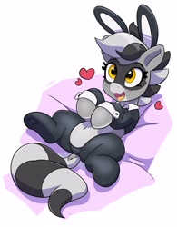 Size: 2335x3000 | Tagged: safe, artist:pabbley, derpibooru import, oc, oc only, oc:bandy cyoot, hybrid, pony, raccoon, raccoon pony, belly button, bunny ears, bunny suit, clothes, cute, cute little fangs, dock, fangs, female, floating heart, frog (hoof), heart, lying down, mare, ocbetes, on back, open mouth, open smile, reverse bunny suit, simple background, smiling, solo, tail, underhoof, white background