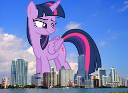 Size: 2048x1501 | Tagged: safe, artist:davidsfire, artist:thegiantponyfan, derpibooru import, twilight sparkle, twilight sparkle (alicorn), alicorn, pony, female, florida, folded wings, giant alicorn, giant pony, giantess, highrise ponies, irl, macro, mare, mega giant, mega twilight sparkle, miami, photo, ponies in real life, smiling, smirk, story included, twizilla, wings