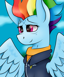 Size: 5000x6000 | Tagged: safe, derpibooru import, rainbow dash, pegasus, pony, g4, the last problem, absurd resolution, clothes, older, older rainbow dash, solo, wings