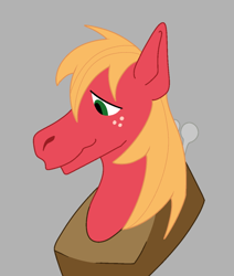 Size: 640x756 | Tagged: safe, artist:sleepyeena, derpibooru import, big macintosh, earth pony, pony, bust, male, portrait, solo, stallion