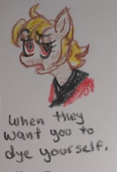 Size: 1390x2048 | Tagged: safe, artist:pony quarantine, derpibooru import, oc, oc only, oc:red the prostitute, earth pony, pony, bust, clothes, dialogue, female, lidded eyes, mare, robe, solo, talking to viewer, traditional art