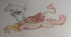 Size: 2048x1082 | Tagged: safe, artist:pony quarantine, derpibooru import, gilda, griffon, crayon drawing, female, looking at you, lying down, paw pads, paws, prone, solo, toe beans, traditional art, underpaw
