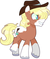 Size: 2976x3529 | Tagged: safe, artist:kurosawakuro, derpibooru import, earth pony, pony, hat, male, simple background, solo, stallion, transparent background