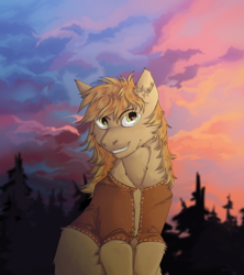 Size: 800x900 | Tagged: safe, artist:bazur, derpibooru import, braeburn, earth pony, pony, clothes, commission, male, smiling, solo, stallion, sunset, two toned mane, vest, ych result