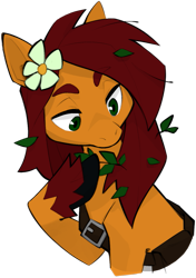 Size: 895x1268 | Tagged: safe, artist:dar, derpibooru import, oc, oc only, oc:apple bloom, earth pony, fanfic:song of seven, bag, buckle, bust, earth pony oc, eyebrows, flower, flower in hair, hooves, leaf, leaves, messy mane, satchek, simple background, solo, transparent background, unshorn fetlocks