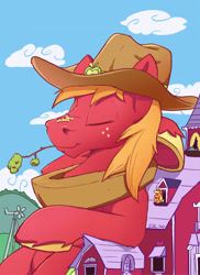 Size: 1094x1500 | Tagged: safe, artist:tsitra360, derpibooru import, apple bloom, applejack, big macintosh, pony, barn, cowboy hat, freckles, hat, hooves behind head, leaning back, macro, sitting, sitting on nose, sweet apple acres, sweet apple acres barn