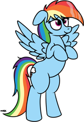 Size: 1146x1663 | Tagged: safe, artist:mark_ml, rainbow dash, pegasus, pony, ears, female, floppy ears, mare, puppy dog eyes, simple background, smiling, solo, standing up, transparent background, wet, wet mane