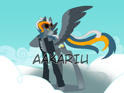 Size: 2000x1500 | Tagged: safe, artist:aakariu, derpibooru import, oc, pegasus, adoptable, art, character, digital art, original character do not steal