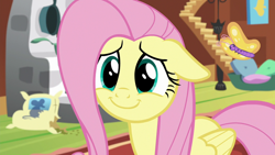 Size: 1280x720 | Tagged: safe, derpibooru import, screencap, fluttershy, butterfly, pegasus, pony, fluttershy leans in, season 7, animal, close-up, cute, daaaaaaaaaaaw, dilated pupils, female, fluttershy's cottage, happy, hnnng, mare, reaction image, shyabetes, smiling, solo, weapons-grade cute