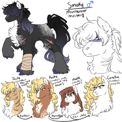 Size: 3000x3000 | Tagged: safe, artist:gingygin, derpibooru import, oc, oc only, oc:camellia, oc:dusky, oc:maple, oc:rocky, oc:smoky, earth pony, pony, bust, chest fluff, female, fluffy, leg wraps, male, mare, scar, simple background, stallion, white background