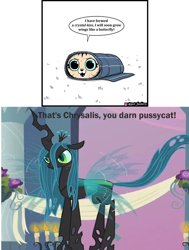 Size: 1360x1800 | Tagged: safe, artist:pet_foolery, derpibooru import, edit, edited screencap, screencap, queen chrysalis, cat, changeling, changeling queen, a canterlot wedding, spoiler:comic, caption, cocoon, comic, cute, female, image macro, instagram, instagram logo, kitten, pixie & brutus, pixie (pixie & brutus), solo, speech bubble, spoilers for another series, text, vulgar, youtube, youtube link