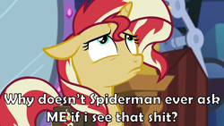 Size: 1920x1080 | Tagged: safe, artist:nieva-creates, derpibooru import, edit, edited screencap, screencap, sunset shimmer, equestria girls, mirror magic, spoiler:eqg specials, bag, caption, ears, floppy ears, image macro, looking up, meme, sad face, sad pony, saddle bag, solo, text