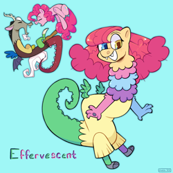 Size: 2048x2048 | Tagged: safe, artist:3ggmilky, derpibooru import, discord, pinkie pie, oc, oc:effervescent, draconequus, pony, blue background, discopie, draconequus oc, female, interspecies offspring, male, name, offspring, parent:discord, parent:pinkie pie, parents:discopie, shipping, simple background, straight