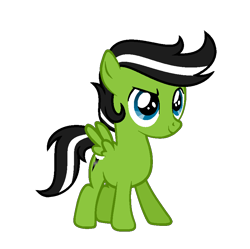 Size: 875x871 | Tagged: safe, artist:darbypop1, derpibooru import, oc, oc only, oc:black thunder, pegasus, pony, colt, foal, full body, hooves, male, pegasus oc, show accurate, simple background, smiling, solo, spread wings, standing, tail, transparent background, two toned mane, two toned tail, wings