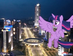 Size: 715x549 | Tagged: safe, derpibooru import, twilight sparkle, twilight sparkle (alicorn), alicorn, pony, 1000 hours in ms paint, female, giant pony, giantess, highrise ponies, irl, macro, mare, night, north korea, photo, ponies in real life, pyongyang