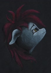 Size: 2842x4096 | Tagged: safe, artist:myzanil, derpibooru import, oc, oc only, oc:myza nil red, pegasus, pony, bust, colored pencil drawing, frown, looking up, portrait, solo, tired, traditional art