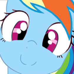 Size: 1080x1080 | Tagged: artist needed, safe, color edit, derpibooru import, edit, rainbow dash, pegasus, pony, colored, cute, dashabetes, female, hi anon, looking at you, mare, meme, recolor, simple background, smiling, smiling at you, solo, white background