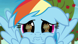 Size: 1280x720 | Tagged: safe, derpibooru import, screencap, applejack, rainbow dash, earth pony, pegasus, pony, grannies gone wild, season 8, spoiler:s08, applejack is not amused, close-up, cute, daaaaaaaaaaaw, dashabetes, dilated pupils, duo, duo female, eye reflection, female, hnnng, hoof on cheek, mare, pouting, puppy dog eyes, rainbow dash is best facemaker, reflection, sad, sadorable, spread wings, unamused, weapons-grade cute, wings