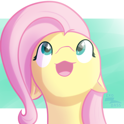 Size: 1000x1000 | Tagged: safe, artist:exobass, derpibooru import, fluttershy, pony, :3, expression, female, hopeful, looking up, open mouth, open smile, smiling, solo, sparkly eyes, wingding eyes