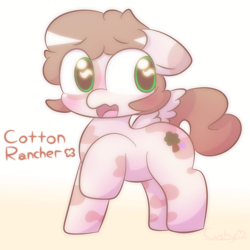 Size: 2000x2000 | Tagged: safe, artist:cushyhoof, derpibooru import, oc, oc only, oc:cotton rancher, pegasus, pony, blushing, coat markings, cute, embarrassed, gradient background, high res, male, open mouth, shy, solo, spread wings, stallion, text, wings