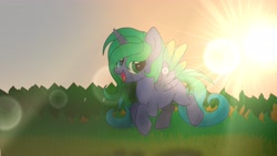 Size: 4096x2304 | Tagged: safe, artist:fededash, derpibooru import, oc, oc only, oc:tammy, alicorn, alicorn oc, cloud, flying, horn, sun, wings