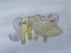 Size: 4032x3024 | Tagged: safe, derpibooru import, fluttershy, pegasus, pony, colored hooves, cute, female, full body, hiding behind wing, looking at you, mare, shy, shyabetes, simple background, solo, traditional art, unshorn fetlocks, walking, white background, wings