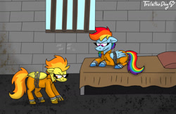 Size: 1280x829 | Tagged: safe, artist:teslathedog, derpibooru import, rainbow dash, spitfire, pegasus, pony, bed, bound wings, chains, clothes, cuffed, cuffs, duo, jail, lying down, never doubt rainbowdash69's involvement, on bed, prison, prison outfit, prisoner, prisoner rd, prone, shackles, tally marks, wings