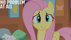 Size: 1280x720 | Tagged: safe, derpibooru import, edit, edited screencap, editor:quoterific, screencap, angel bunny, fluttershy, pegasus, pony, rabbit, season 1, stare master, animal, duo, eyes closed, female, fluttershy's cottage, male, mare, night, sleeping, smiling, text