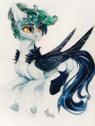 Size: 1728x2304 | Tagged: safe, artist:mithriss, derpibooru import, oc, oc only, pegasus, pony, solo