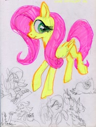 Size: 2191x2910 | Tagged: safe, artist:ja0822ck, derpibooru import, fluttershy, pegasus, animal, fluttershy day