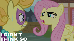 Size: 1280x720 | Tagged: safe, derpibooru import, edit, edited screencap, editor:quoterific, screencap, fluttershy, lemon chiffon, earth pony, pegasus, pony, fame and misfortune, season 7, duo, female, mare, open mouth, sweat, text