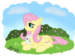 Size: 800x600 | Tagged: safe, artist:eklipsethepony, derpibooru import, angel bunny, fluttershy, pegasus, pony, rabbit, animal, bush, duo, female, flower, fluttershy day, folded wings, grass, looking away, lying down, mare, outdoors, profile, prone, wings