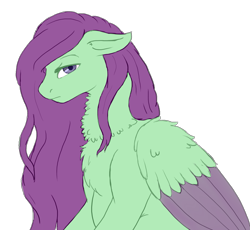 Size: 1431x1315 | Tagged: safe, artist:shadypixels, derpibooru import, oc, oc only, oc:stalwart chivalry, pegasus, chest fluff, male, pegasus oc, simple background, solo, transparent background
