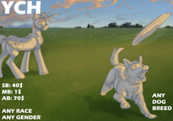 Size: 1280x896 | Tagged: safe, artist:tigra0118, derpibooru import, pony, any gender, any species, auction, commission, field, frisbee, pet, your character here, your character here auction