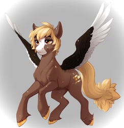 Size: 1440x1481 | Tagged: safe, artist:silentwulv, derpibooru import, oc, oc only, pegasus, pony, cutie mark, male, solo, spread wings, tail, wings