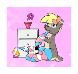 Size: 1806x1704 | Tagged: safe, artist:single purpose, derpibooru import, oc, oc only, oc:canvas, deer, blushing, bow, clothes, deer oc, drawer, flower, hair bow, pride, pride flag, socks, solo, striped socks, transgender pride flag