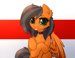 Size: 2000x1525 | Tagged: safe, artist:dipfanken, derpibooru import, oc, oc only, pegasus, pony, belarus, collar, flag, solo