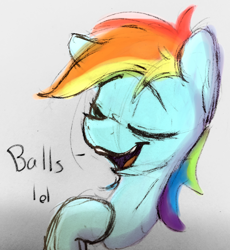 Size: 2490x2709 | Tagged: safe, artist:packy paca, derpibooru import, rainbow dash, dialogue, raised eyebrow, smug, solo