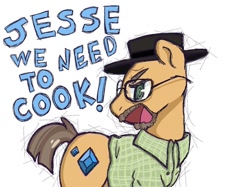 Size: 810x607 | Tagged: safe, artist:pix3lcats, derpibooru import, earth pony, pony, beard, breaking bad, clothes, crossover, drugs, facial hair, glasses, hat, heisenberg, heisenbuck, male, meme, meth, ponified, stallion, text, walter white