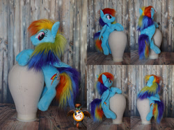 Size: 1328x1000 | Tagged: safe, artist:essorille, derpibooru import, rainbow dash, pony, irl, photo, plushie, solo