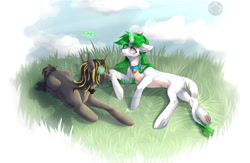 Size: 1280x835 | Tagged: safe, artist:meggychocolatka, derpibooru import, oc, oc only, pony, duo, outdoors