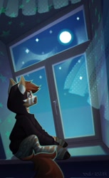 Size: 628x1024 | Tagged: safe, artist:rrd-artist, derpibooru import, oc, oc only, zebra, clothes, hoodie, moon, night, solo, stars, window, zebra oc