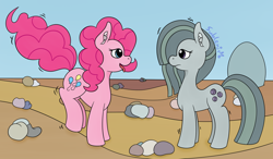 Size: 1280x745 | Tagged: safe, artist:subleni, marble pie, pinkie pie, pebbles, rock, stone