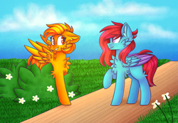 Size: 967x671 | Tagged: safe, artist:clairedaartiste444, derpibooru import, oc, oc only, pegasus, pony, bush, cheek fluff, chest fluff, duo, ear fluff, ears, female, flower, folded wings, looking at each other, looking at someone, mare, raised hoof, raised leg, wings