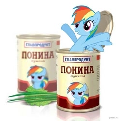 Size: 583x588 | Tagged: artist needed, safe, derpibooru import, rainbow dash, pegasus, pony, cyrillic, food, horse meat, meat, russian, simple background, solo, white background